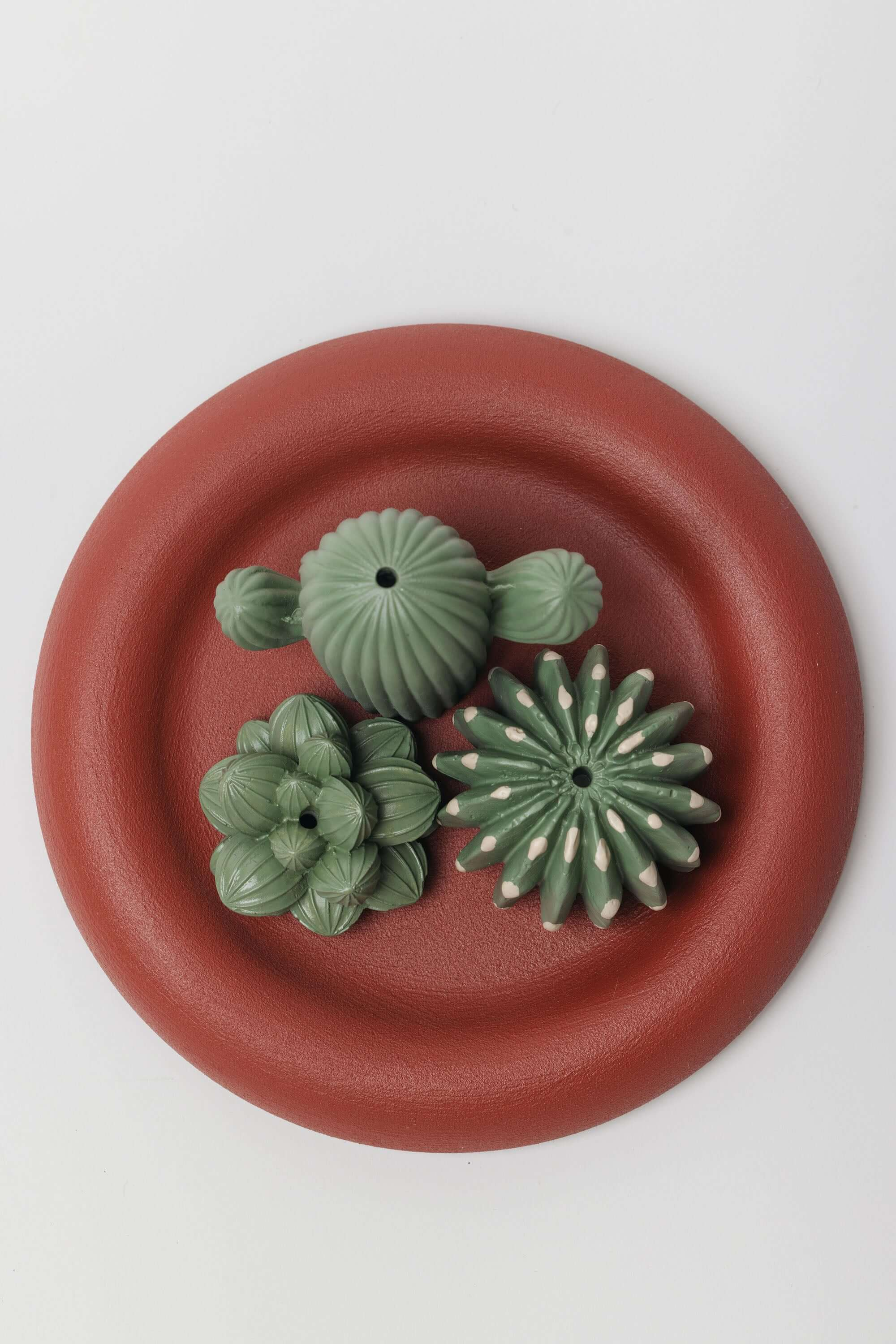 Plant Lover Incense Stick Holder Set – Cactus, Domino & Succulent with Red Clay Coaster