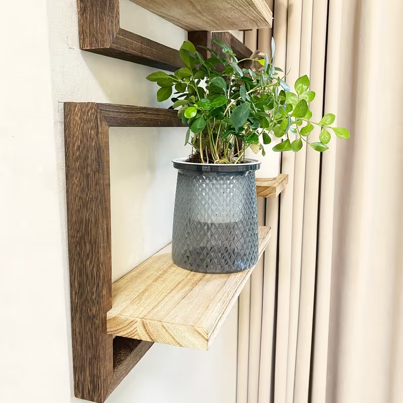 Floating Wall Shelf Set of 4 – Walnut Frame & Natural Wood
